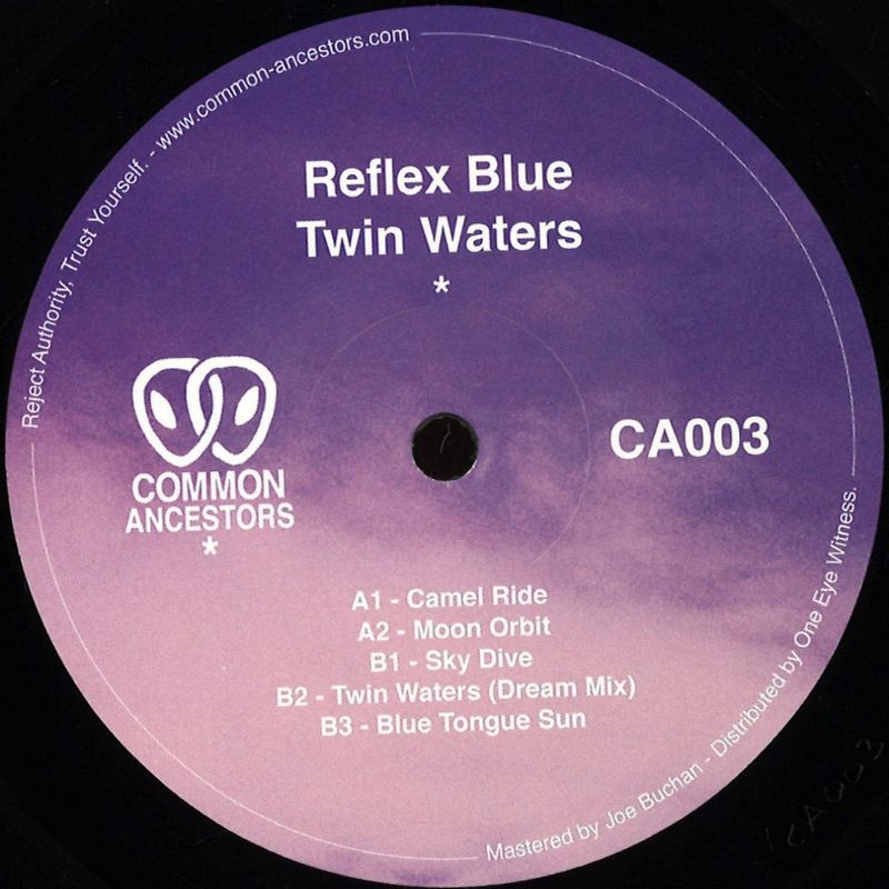 Reflex Blue — Twin Waters vinyl cover