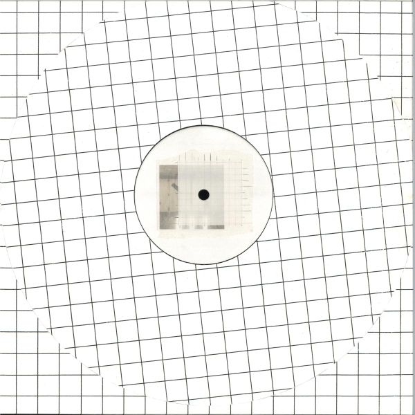 Xenia Reaper — Nept Polarisation vinyl cover