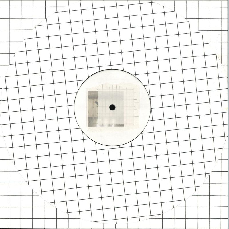 Xenia Reaper — Nept Polarisation vinyl cover