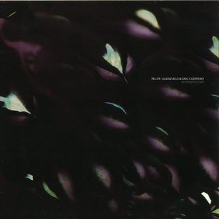 Felipe Valenzuela&Dani Casarano — Introspection vinyl cover