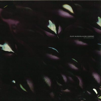 Felipe Valenzuela&Dani Casarano — Introspection vinyl cover