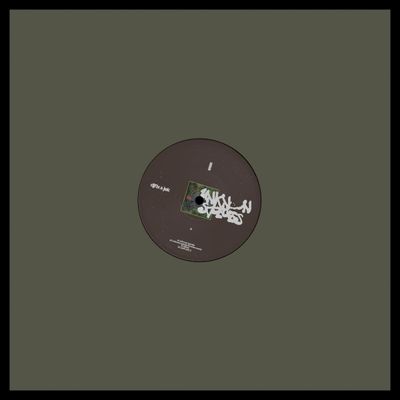 djfix, Jek — unknown species vinyl cover