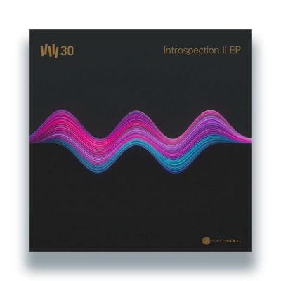 Vince Watson — Introspection II EP vinyl cover