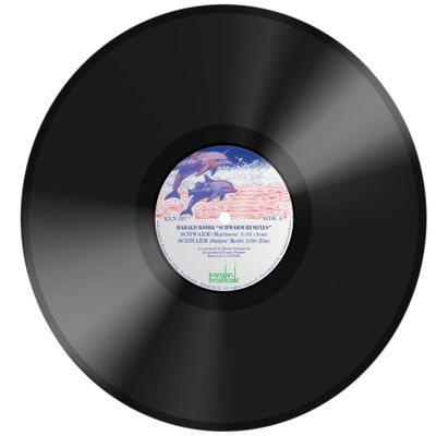Harald Björk — SCHWARM Remixes vinyl cover