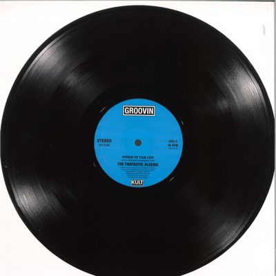 The Fantastic Aleems — Hooked On Your Love EP vinyl cover