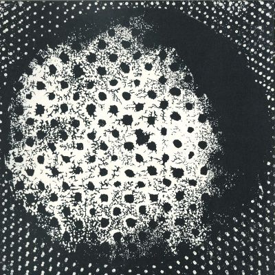 Biosphere — Patashnik LP (reissue) 2x12" vinyl cover