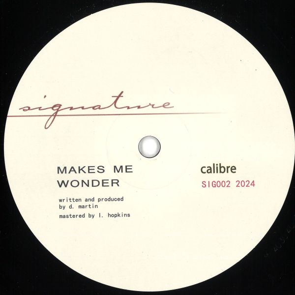 Calibre — Makes Me Wonder / Got To Have You vinyl cover