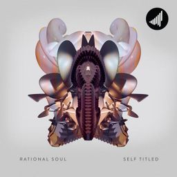 Rational Soul