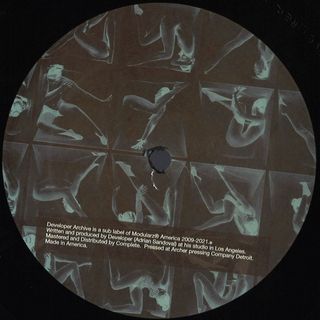 Developer — Archive 013 vinyl cover