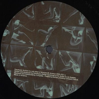 Developer — Archive 013 vinyl cover