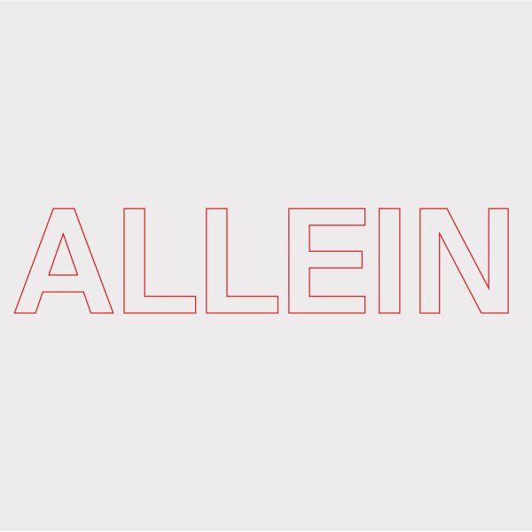Quarks — Allein vinyl cover