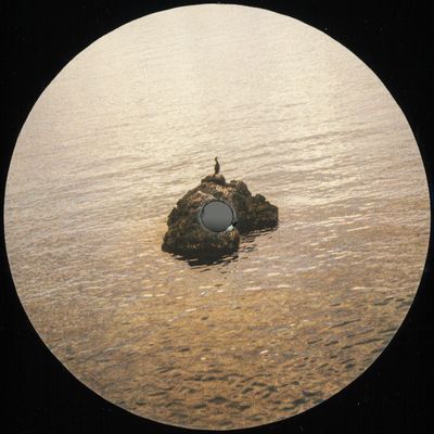 Dzc. — Conversations with Birds vinyl cover