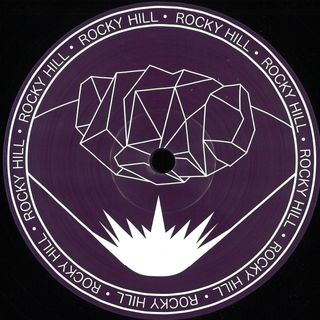DJ Stepmom — Don't Give It Your All Cuz You Might Need Some Later vinyl cover
