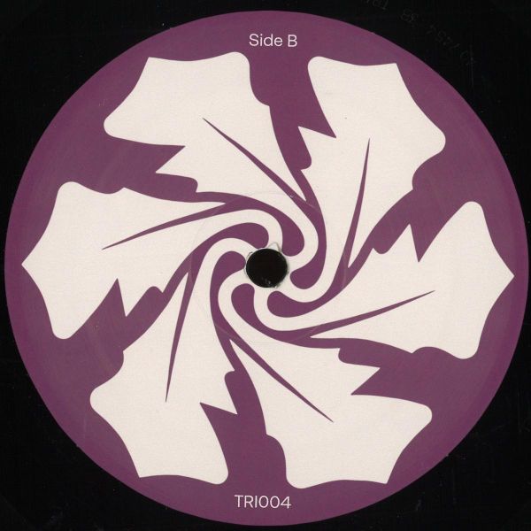 Trash Theory, D.F.N. — The Rejecteds vinyl cover