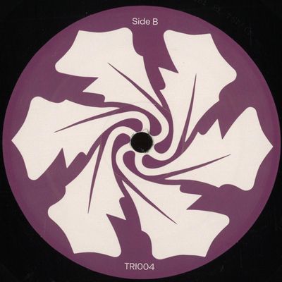 Trash Theory, D.F.N. — The Rejecteds vinyl cover