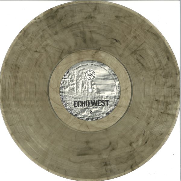 Echo West — Reincarnation Of Doubts LP vinyl cover