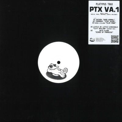 Various — PTX VA. 1 vinyl cover