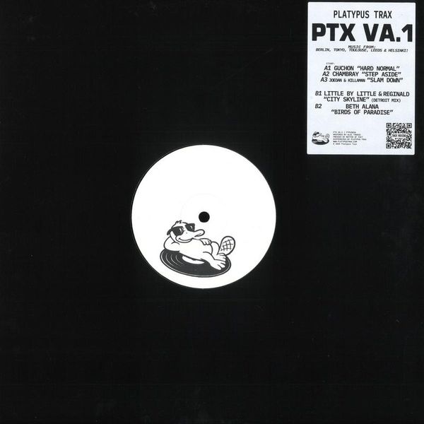 Various — PTX VA. 1 vinyl cover