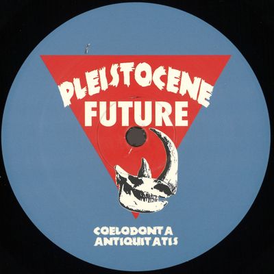 Arkvs — Pleistocene Future 5 vinyl cover