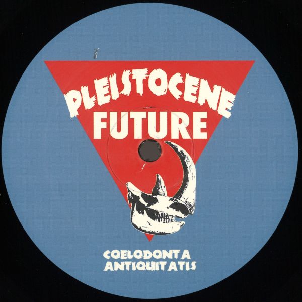 Arkvs — Pleistocene Future 5 vinyl cover