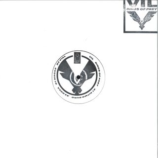 Vil — Birds of Prey LP 2x12" vinyl cover