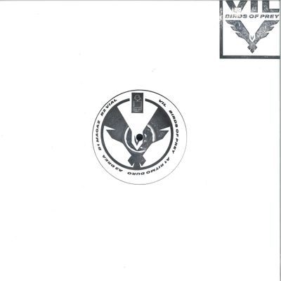 Vil — Birds of Prey LP 2x12" vinyl cover