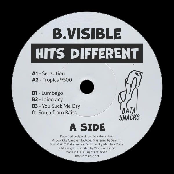 B.Visible — Hits Different vinyl cover