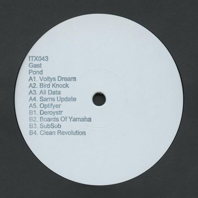 Gast — Pond LP vinyl cover