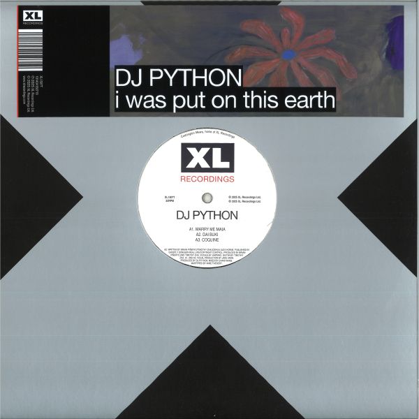 Dj Python — I WAS PUT ON THIS EARTH vinyl cover
