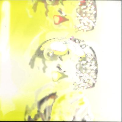 Ábris Gryllus — Nucleus of the Decay LP vinyl cover