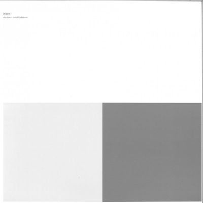 Alva Noto + Ryuichi Sakamoto — Insen  / V.I.R.U.S series 2x12" vinyl cover