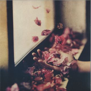 Petre Inspirescu — Vfntul Prin Salcii LP 2x12" vinyl cover
