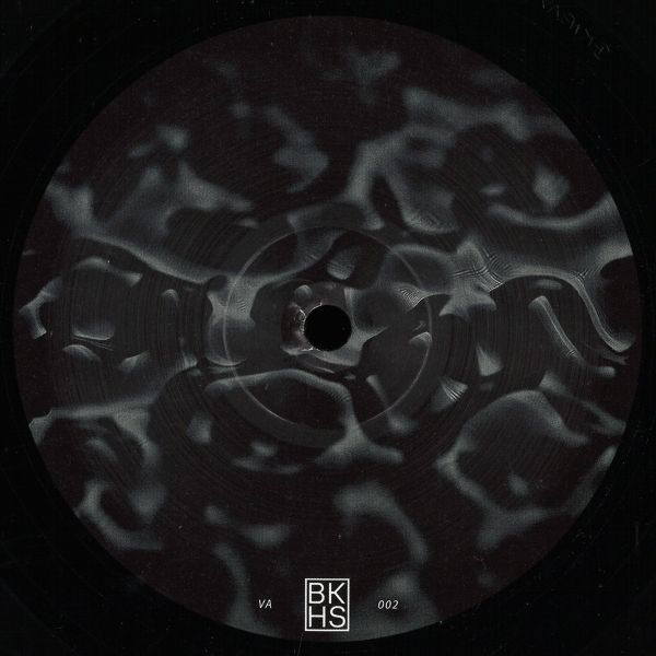 Various — Backhaus VA Vol. 2 vinyl cover
