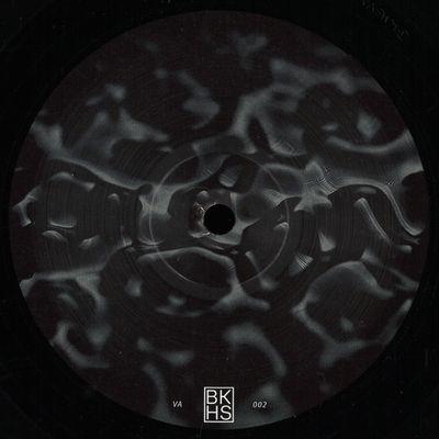 Various — Backhaus VA Vol. 2 vinyl cover