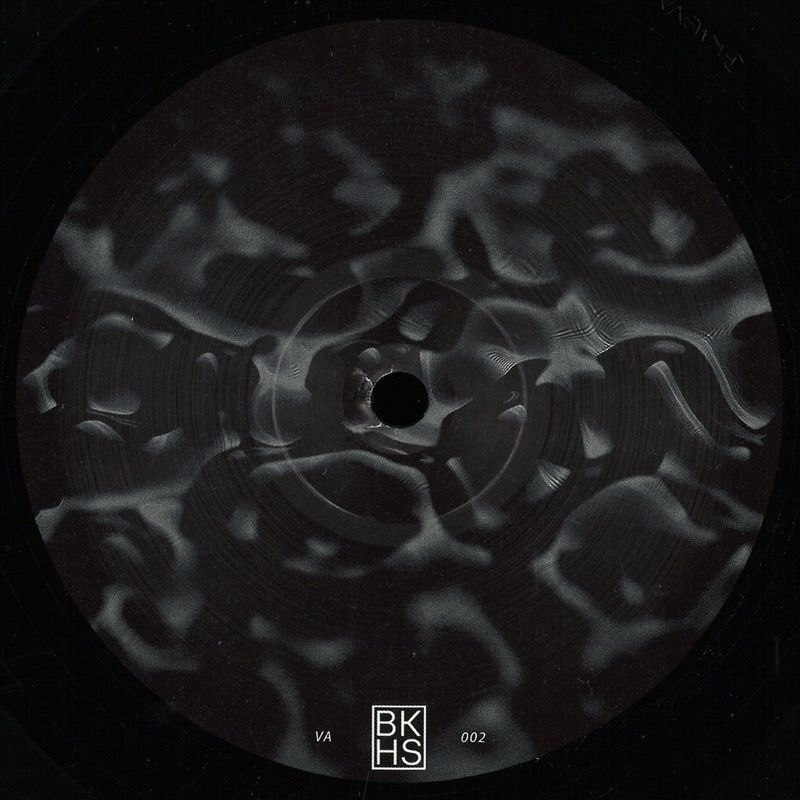 Various — Backhaus VA Vol. 2 vinyl cover