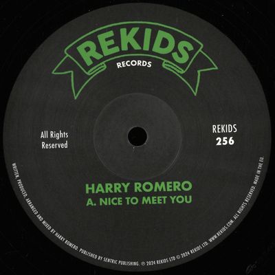 Harry Romero — Nice To Meet You vinyl cover