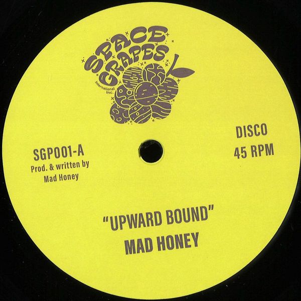 Mad Honey — UPWARD BOUND / TREASURE EVERY SUNSET vinyl cover
