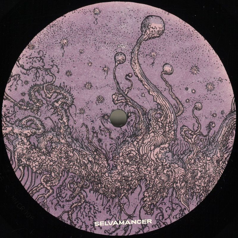 Ekoplekz — Dirtbokz LP vinyl cover