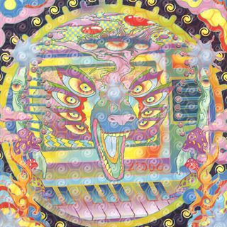 Animals On Psychedelics