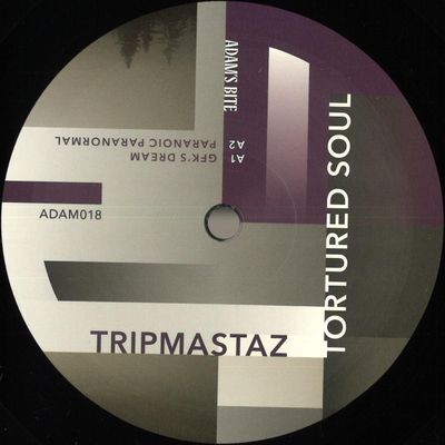 Tripmastaz — Tortured Soul vinyl cover