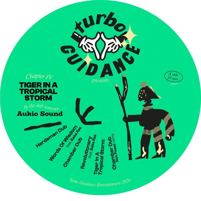 Aukio Sound — Tiger In A Tropical Storm vinyl cover