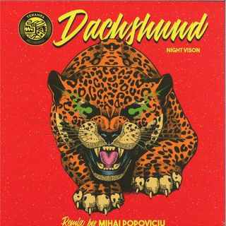 Dachshund — Night Vision (Mihai Popoviciu Remix) vinyl cover