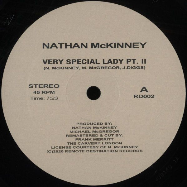 Unknown Artist — VERY SPECIAL LADY PT. II vinyl cover