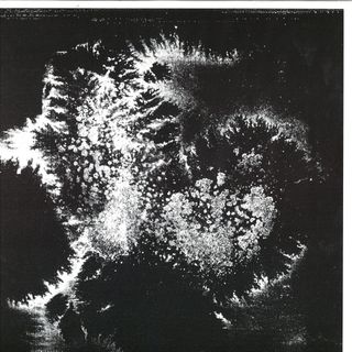 Vera Dvale, Psykovarius — Udu vinyl cover
