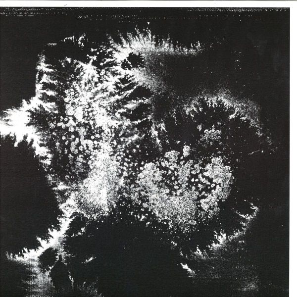 Vera Dvale, Psykovarius — Udu vinyl cover