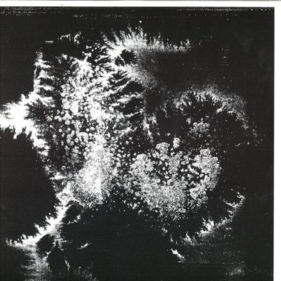 Vera Dvale, Psykovarius — Udu vinyl cover