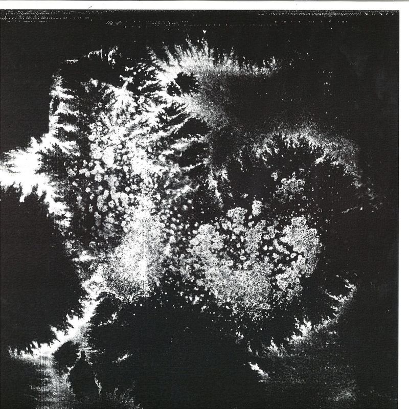 Vera Dvale, Psykovarius — Udu vinyl cover