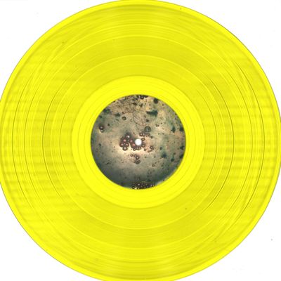 Jakojako — Metamorphose LP vinyl cover