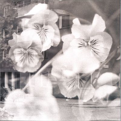Basic Need — Nocturnal vinyl cover
