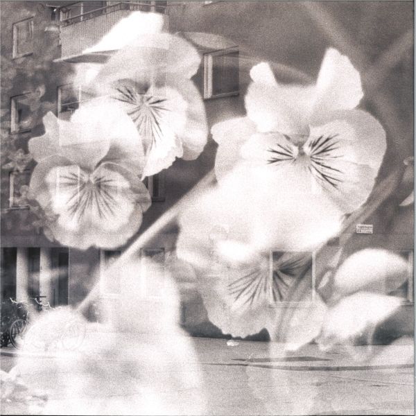 Basic Need — Nocturnal vinyl cover